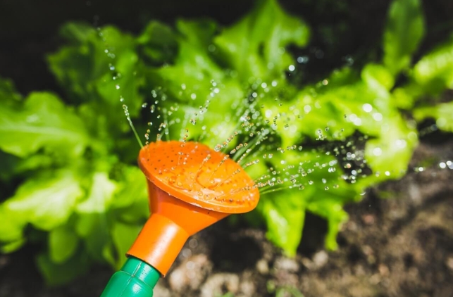 Garden Care