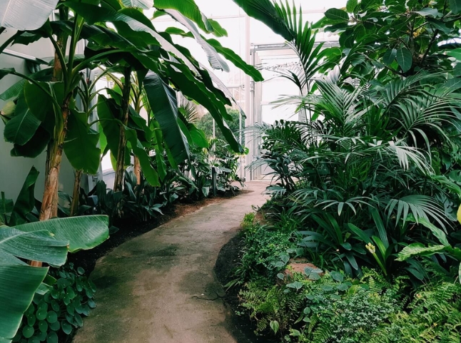 Design & Planting